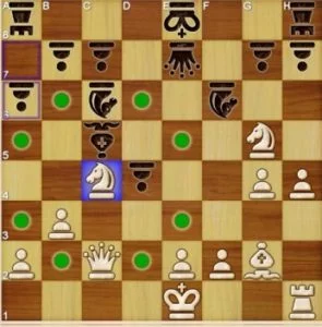 The knight's movement