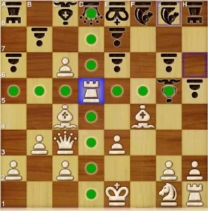 The rook's movement