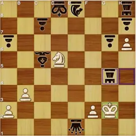 The white king in check by the black rook